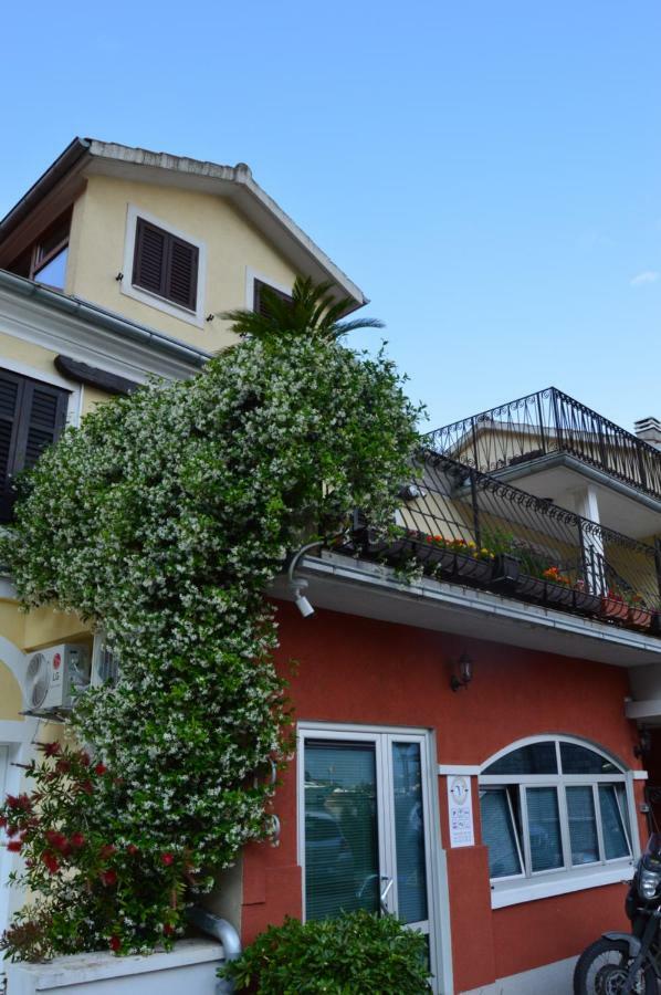 Apartments Qualitas コトル エクステリア 写真